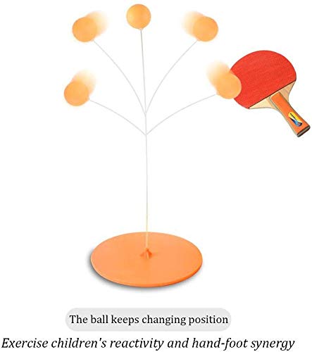 PING PONG TRAINER SET