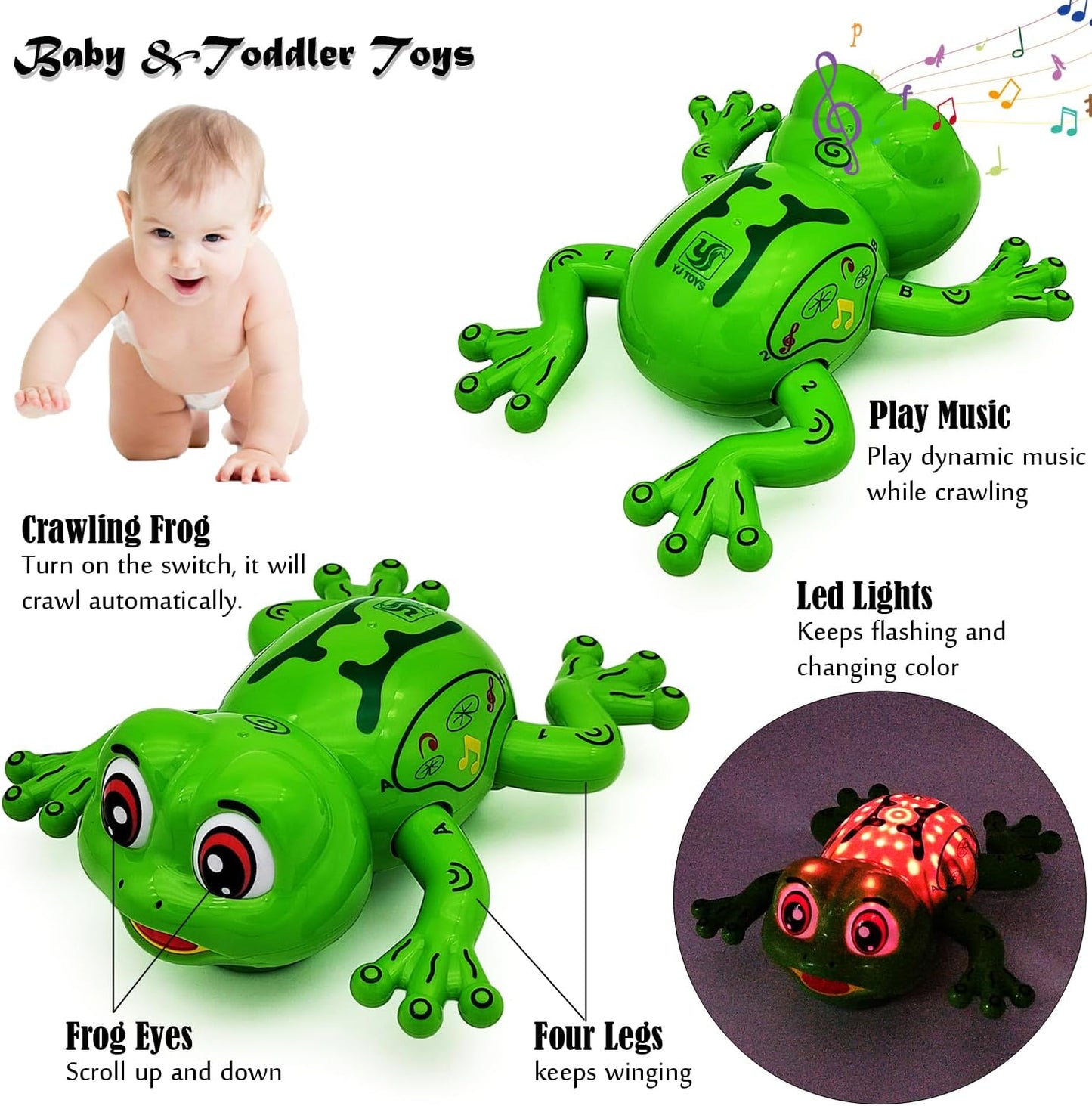 Musical Dancing Little Frog